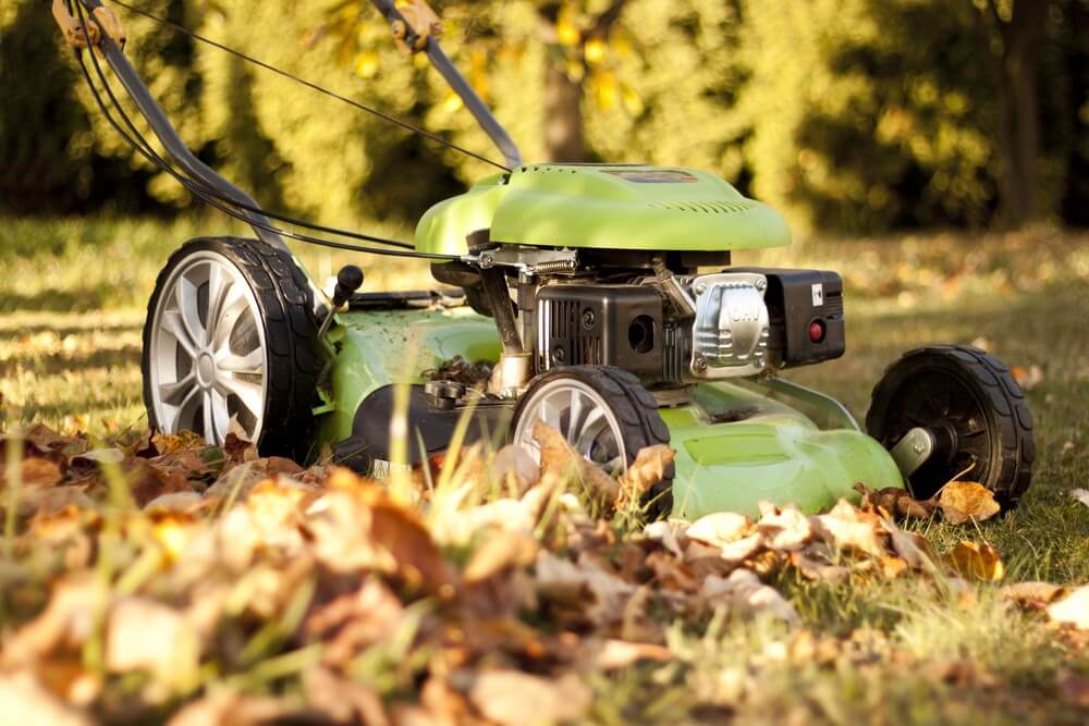 Lawn Mower For Winter