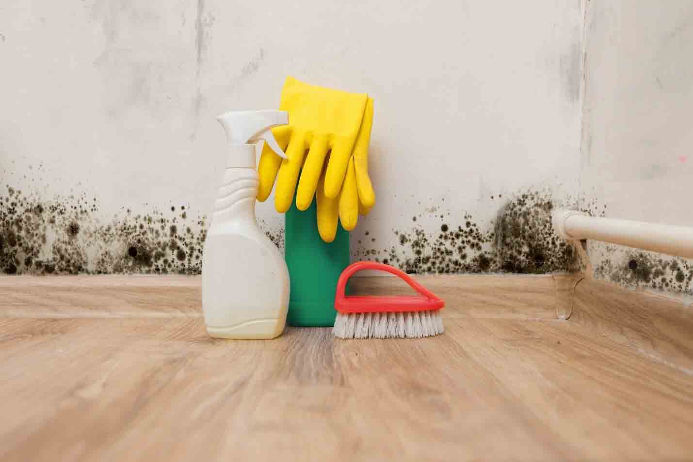 How to Prevent Mold in Your Home